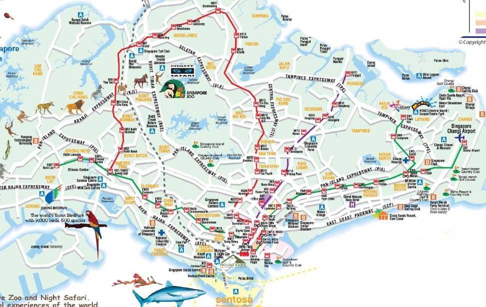 シンガポール道路地図