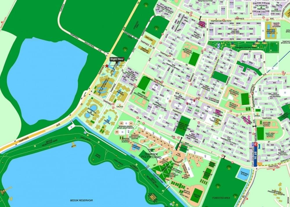 地図を焼いているシンガポール