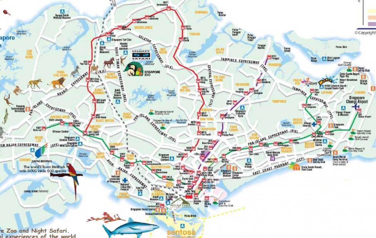 シンガポール道路地図